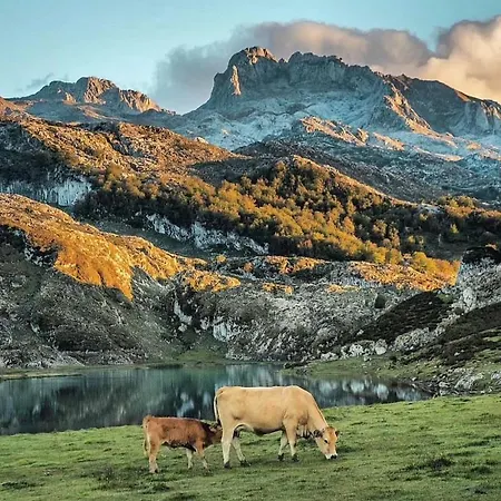 Al Lado Del Rio En شقة Onís